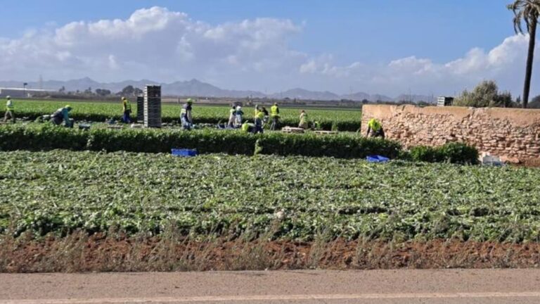 Campo de Cartagena impulsa agricultura sostenible ante escasez de recursos hídricos Campo de Cartagena impulsa agricultura sostenible ante escasez de recursos hídricos