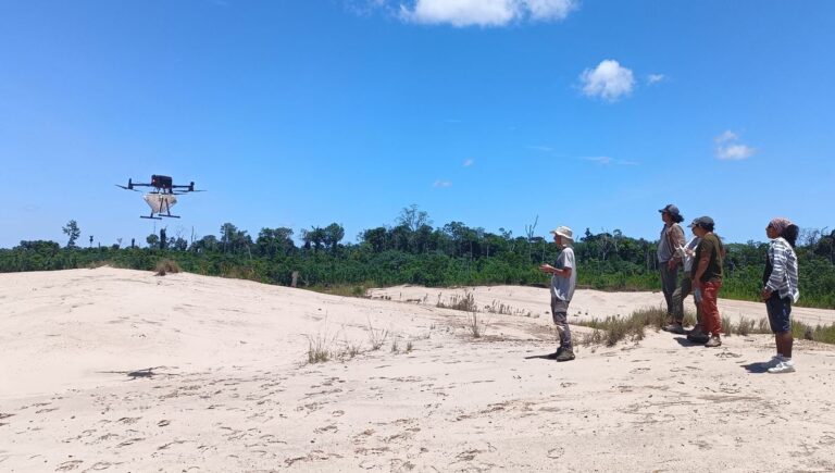 Nueva tecnología de drones busca revolucionar la reforestación de la Amazonia