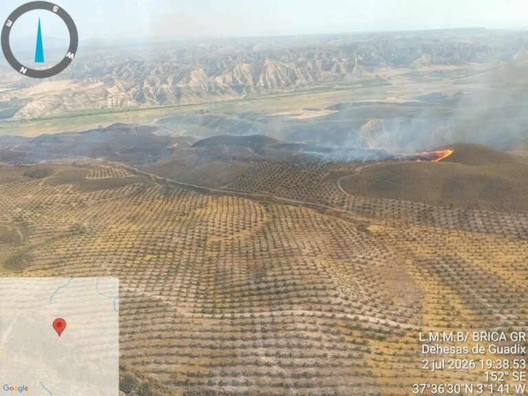 Plan Infoca declara extinguido incendio forestal en Dehesas de Guadix