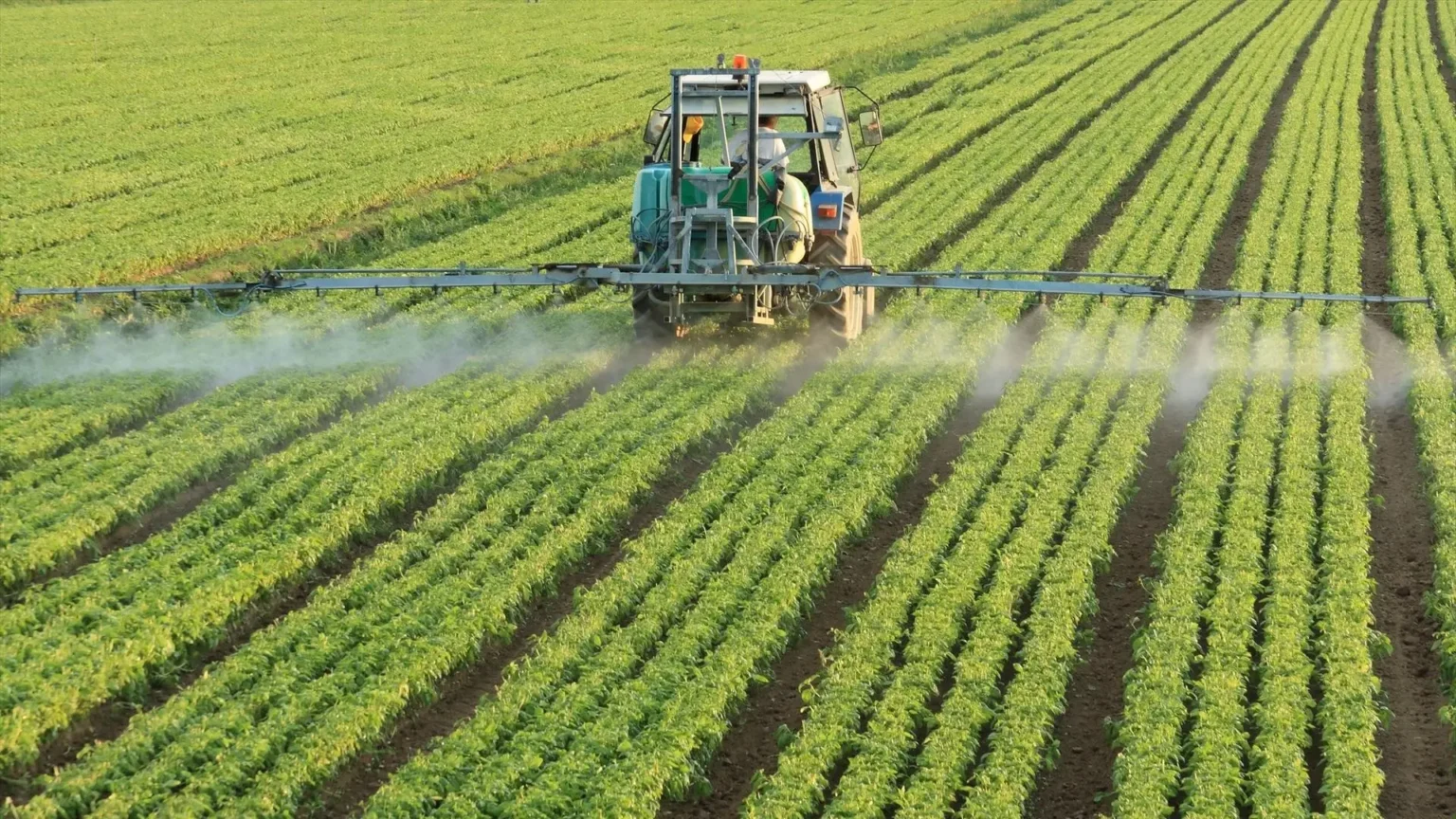 Fondos de inversión apuestan por el sector agroalimentario español con operaciones millonarias