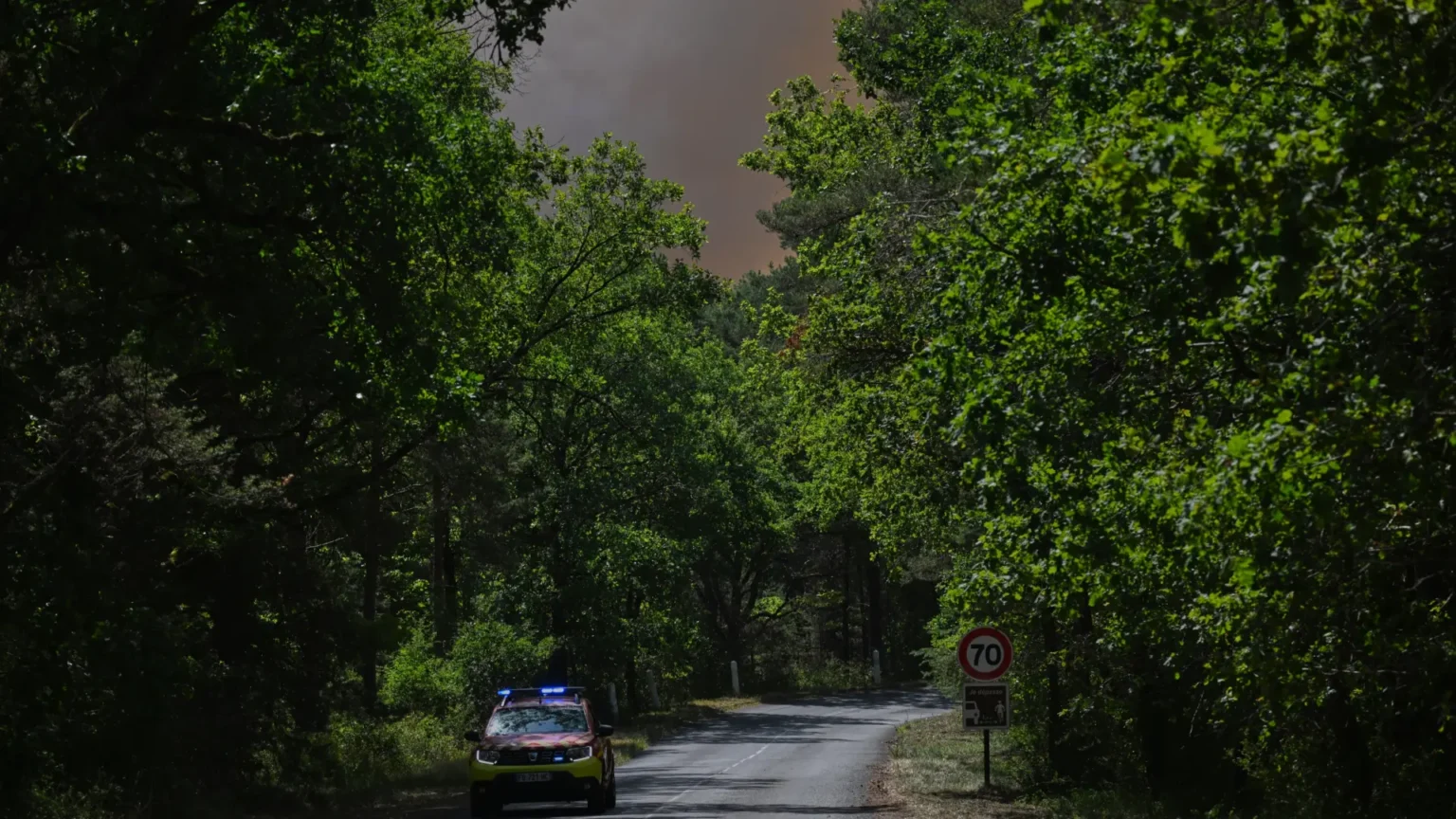 Incendio forestal arrasa 800 hectáreas del bosque de Fontainebleau en Francia