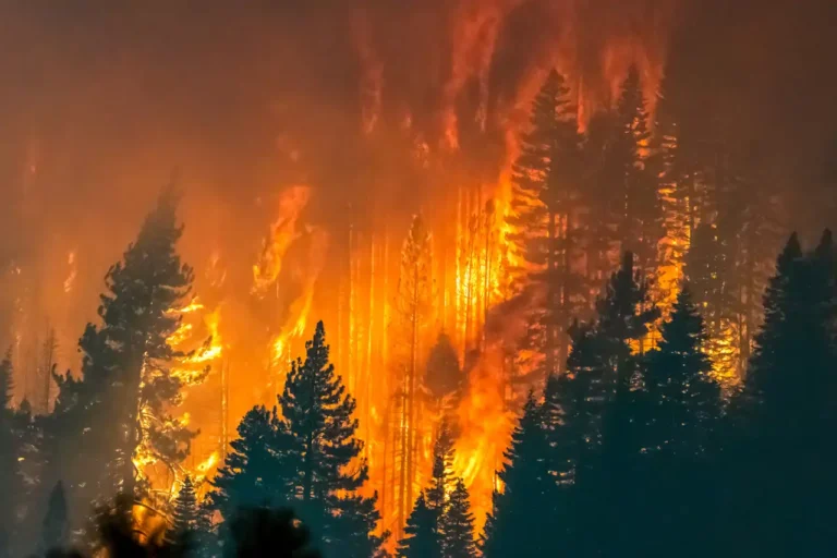 Controlan incendio forestal en Borox que obligó a confinar una urbanización en Toledo