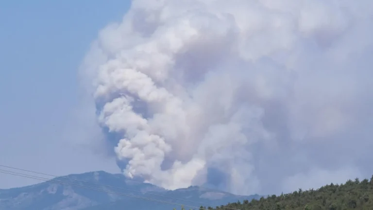Incendio de La Mierla en Guadalajara alcanza 32 mil hectáreas y se convierte en el segundo más grave de la historia de España