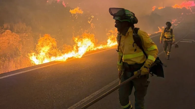Incendio forestal en Los Gallardos deja 13 muertos y arrasa 7,000 hectáreas en Almería Incendio forestal en Los Gallardos deja 13 muertos y arrasa 7,000 hectáreas en Almería