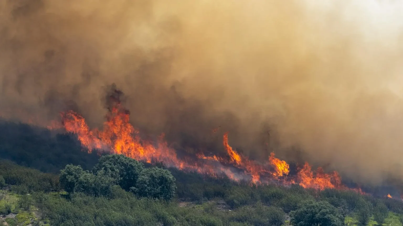 Nueve incendios activos en Castilla y León, 5 de nivel máximo