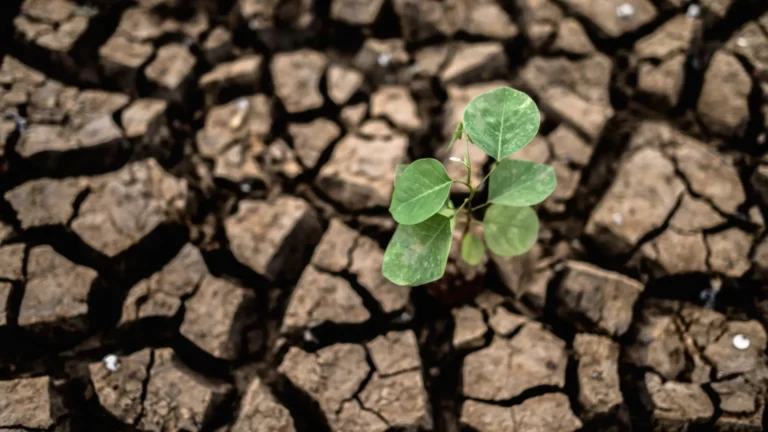 Precios de alimentos podrían subir hasta 9% en Europa durante 2027 por clima extremo y guerra en Irán