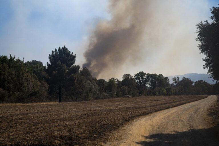 Liberan al hombre detenido por presunta relación con incendio en Bisbal d'Empordà