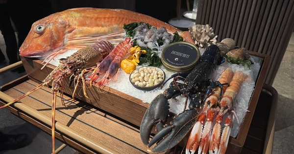 Madrid se posiciona como capital del marisco con restaurantes que ofrecen productos de todas las costas españolas Madrid se posiciona como capital del marisco con restaurantes que ofrecen productos de todas las costas españolas