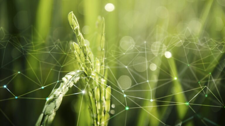 Solo el 24,9% de pequeñas empresas agroalimentarias en España cuenta con plan de digitalización Solo el 24,9% de pequeñas empresas agroalimentarias en España cuenta con plan de digitalización