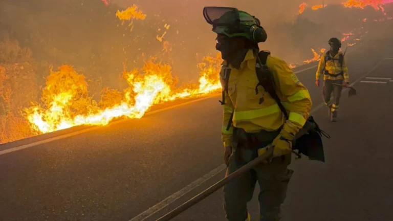 Incendios forestales en España reviven debate sobre cambio climático y falta de prevención estatal