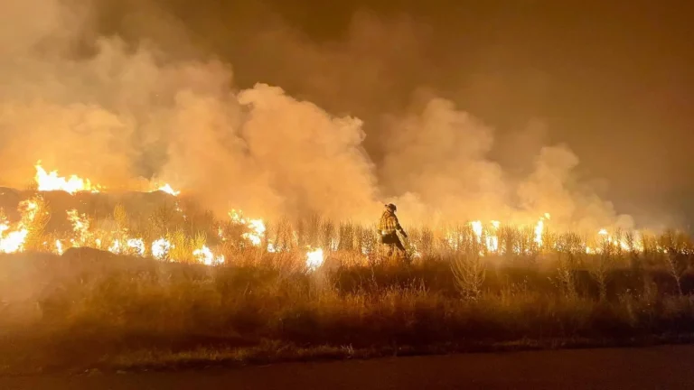 España duplica la superficie forestal quemada en dos semanas y alcanza casi 120.000 hectáreas calcinadas España duplica la superficie forestal quemada en dos semanas y alcanza casi 120.000 hectáreas calcinadas