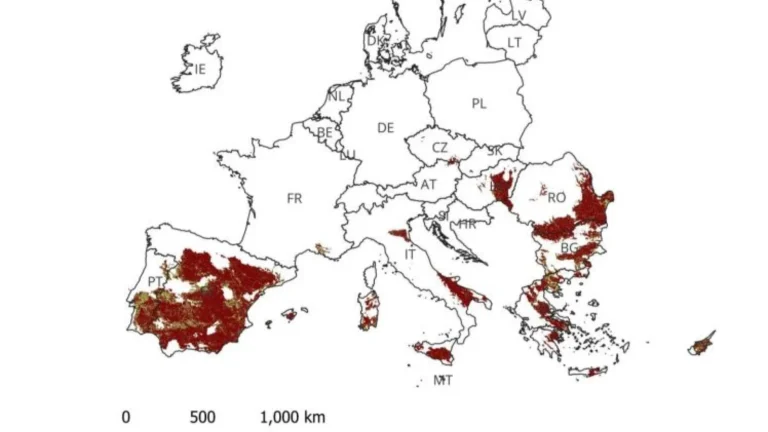 España encabeza la desertificación en Europa: más de la mitad del territorio presenta degradación del suelo