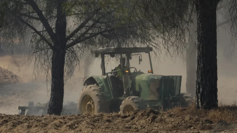 España registra 15.842 hectáreas agrícolas dañadas por incendios, la segunda cifra más alta en una década