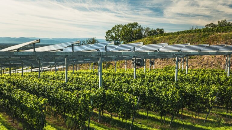 Eurecat participa en proyecto que combina energía solar y agricultura en cultivos frutales