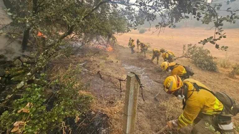 Gobierno español destinó 130 millones a gestión forestal y aumentó 30% presupuesto contra incendios