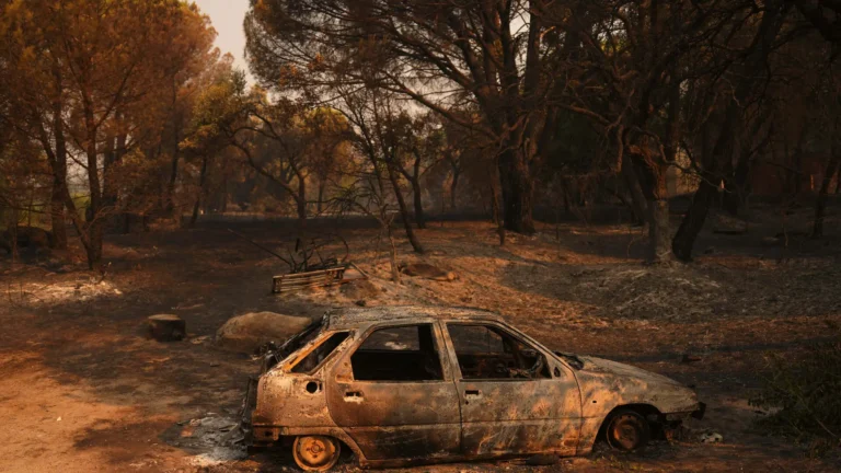 España enfrenta devastadora temporada de incendios con casi 174 mil hectáreas arrasadas en siete meses