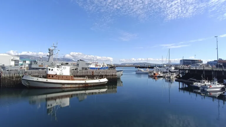 Islandia vota este sábado si reanuda su adhesión a la Unión Europea tras 13 años de paralización