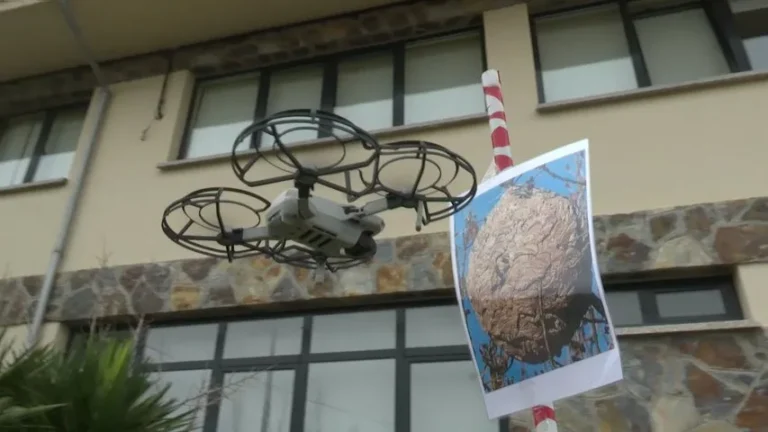 Niños de Sariego aprenden a programar drones para combatir la avispa velutina