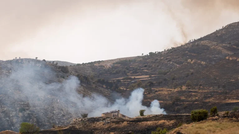 Gobierno español ofrece 300 millones de euros en préstamos para pymes que combatan incendios forestales Gobierno español ofrece 300 millones de euros en préstamos para pymes que combatan incendios forestales