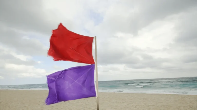 Qué significa la bandera morada en la playa y por qué debes evitar meterte al agua