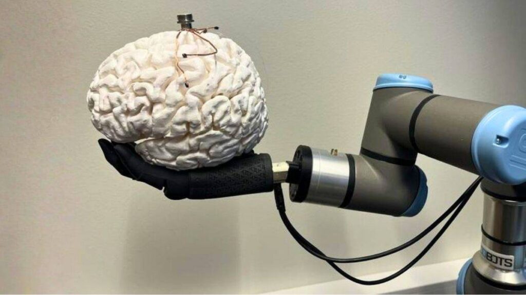 Una misma tecnología cerebral podría restaurar la visión y el tacto en pacientes con enfermedades incurables
