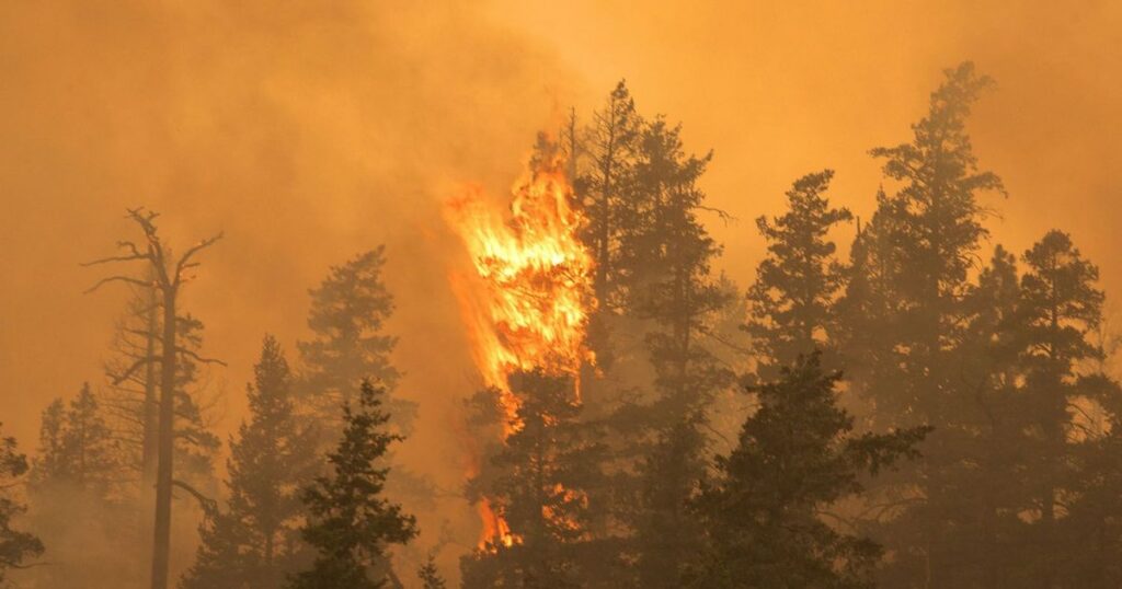 Universidad de León desarrolla aplicación con inteligencia artificial para predecir incendios forestales de copa