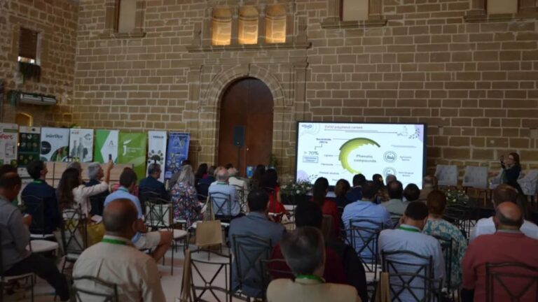 Úbeda acogerá la VI Jornada Virgen Extra con especialistas en salud y gastronomía el 18 de septiembre