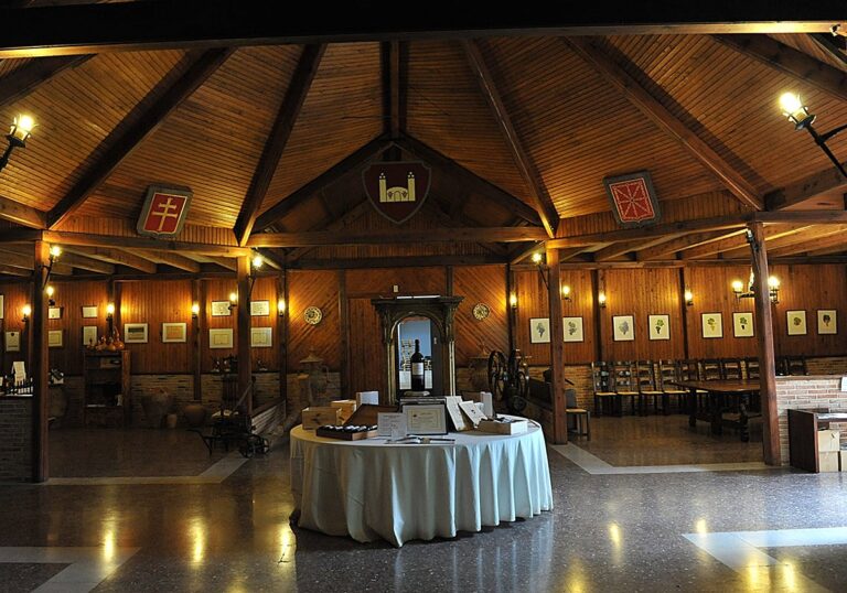 Bodega navarra ofrece experiencia enoturística completa con vino, gastronomía y paisaje otoñal